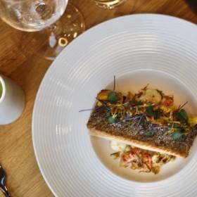 A trout dish in restaurant Arctic Eye
