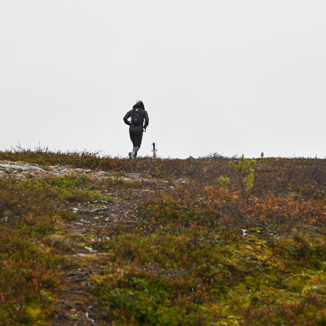 Arctic trail run saariselällä, polkujuoksutapahtuma, polkujuoksu