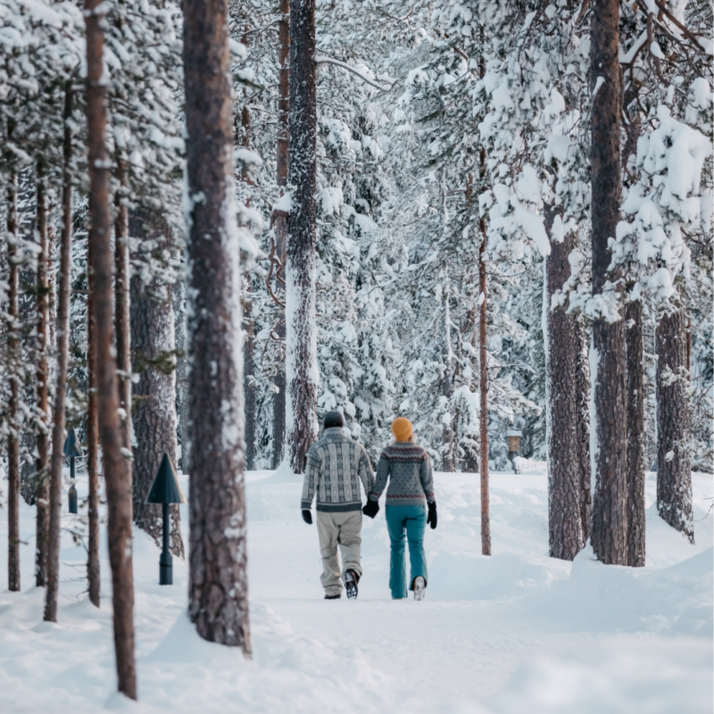 Pyhä-Luoston kansallispuistossa voit nauttia talvisista maisemista ja ulkoilusta Santa's Hotel Auroran vieraana