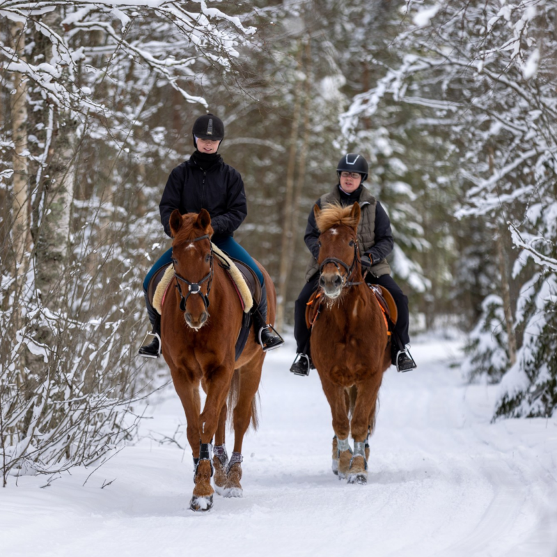 You can engage in various winter activities in Kalajoki: winter horseback riding
