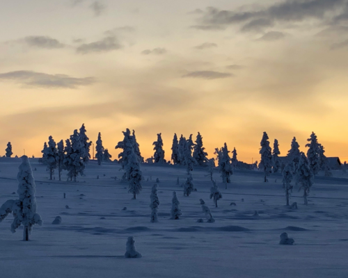 Saariselkä alkutalvesta