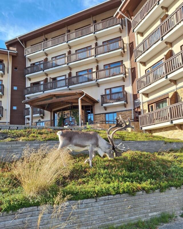 Santa's Hotel Tunturi Saariselällä tarjoaa kokoustajille ainutlaatuisen ympäristön kokoontua aivan kansallispuiston äärellä