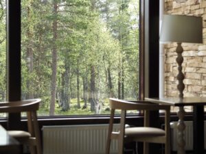 Kesäinen metsä kuvattuna ravintola Kaltion ikkunasta