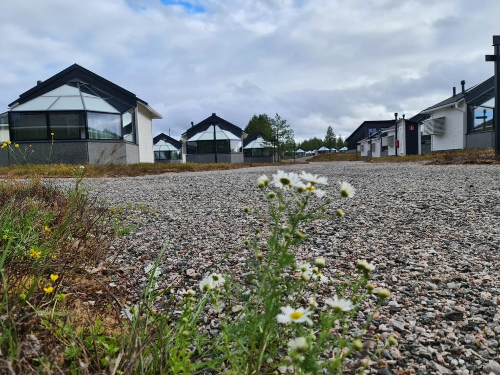 kesäinen piha ja taustalla lasi-igluja