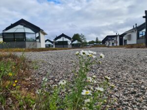 kesäinen piha ja taustalla lasi-igluja