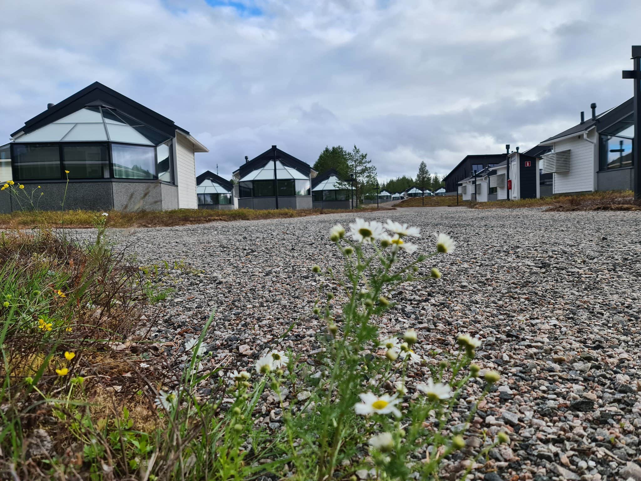 kesäinen piha ja taustalla lasi-igluja